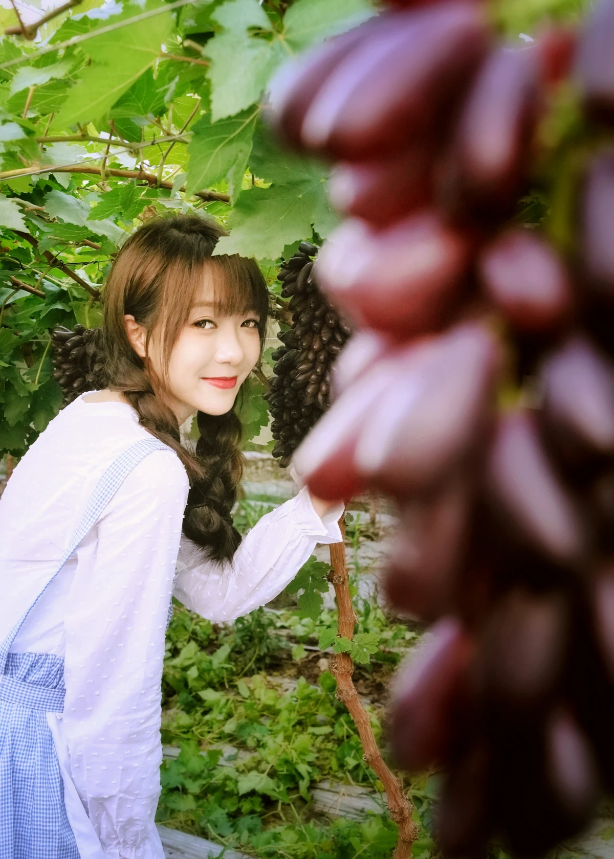 [YITUYU] 2023.02.04 Vol.2969 The joy of harvest in the vineyard duck duck#[24P]-24